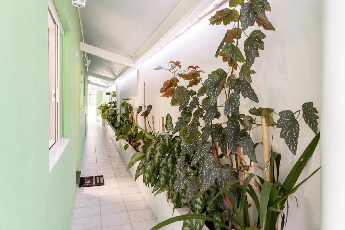 Casa Com 4 Quartos Centro 圣塞巴斯蒂安 外观 照片
